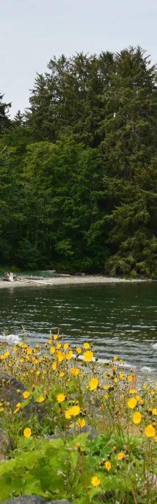 Familienreise mit dem Motorhome durch Westkanada